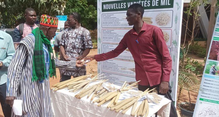 15e édition de la foire aux semences améliorées : « A tous les producteurs du Burkina, faites confiance aux résultats de recherche » (Ministre Adjima Thiombiano) 15e édition de la foire aux semences améliorées : « A tous les producteurs du Burkina, faites confiance aux résultats de recherche » (Ministre Adjima Thiombiano)