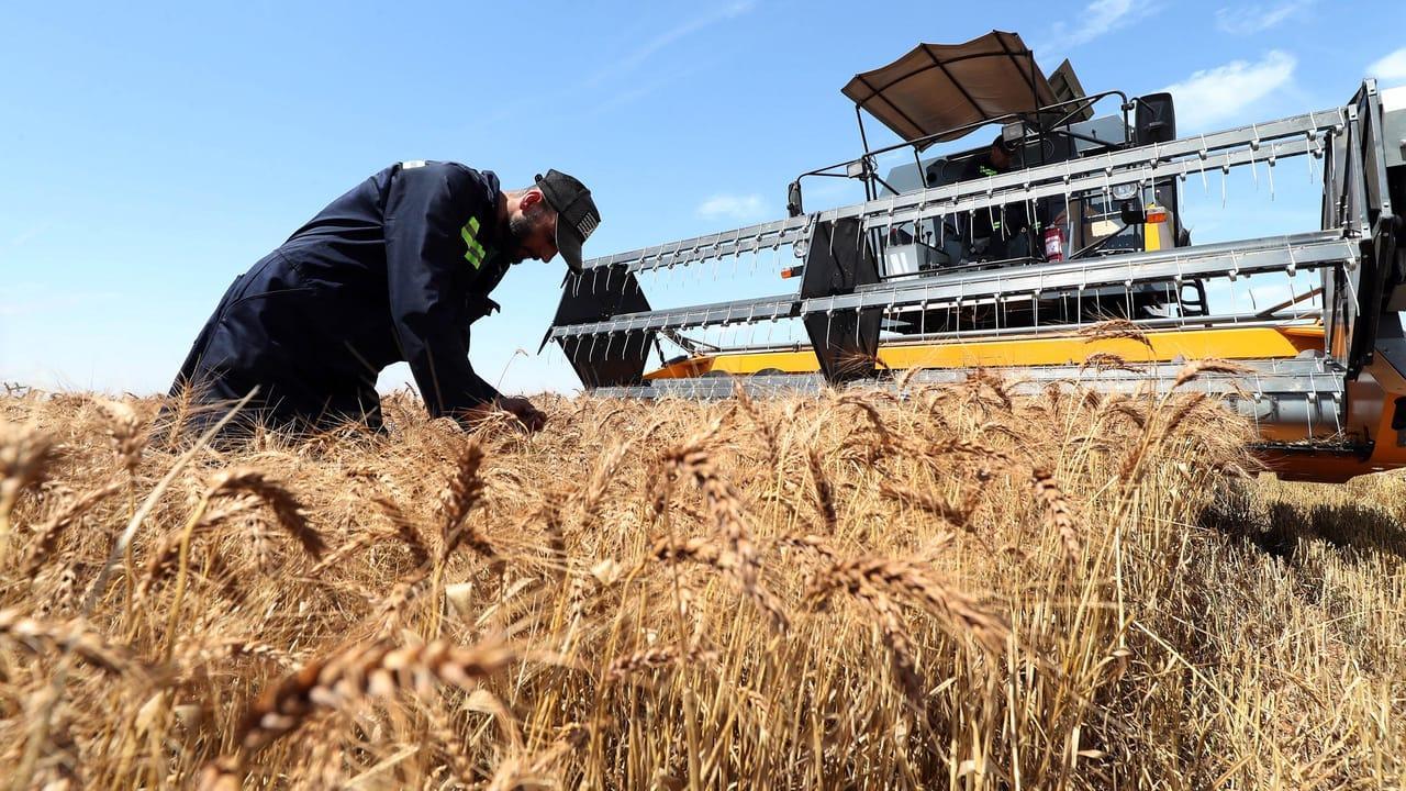 Russie-Afrique : Moscou devient le principal fournisseur de céréales du continent Russie-Afrique : Moscou devient le principal fournisseur de céréales du continent