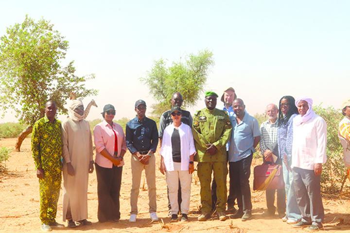 Excursion sur le site de Kouré : Les visiteurs découvrent les dernières espèces de girafes d’Afrique de l’Ouest à l’état naturel Excursion sur le site de Kouré : Les visiteurs découvrent les dernières espèces de girafes d’Afrique de l’Ouest à l’état naturel