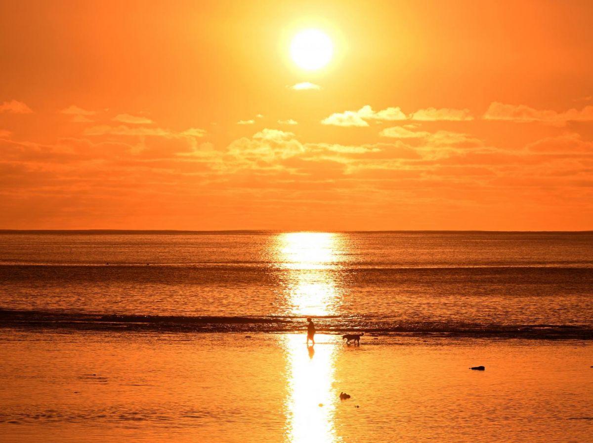 Science Renforcée par la Conférence Onusienne sur l'Océan Science Renforcée par la Conférence Onusienne sur l'Océan