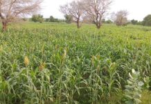 Concours Cadres Santé et Action Sociale 1436 Candidats Concours Cadres Santé et Action Sociale 1436 Candidats