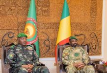 Mali Niger Discutent d’Avenir de Stabilité et Succès Mali Niger Discutent d'Avenir de Stabilité et Succès
