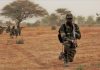 Sahel Unifié Contre le Terrorisme: Alliance Stratégique Sahel Unifié Contre le Terrorisme: Alliance Stratégique