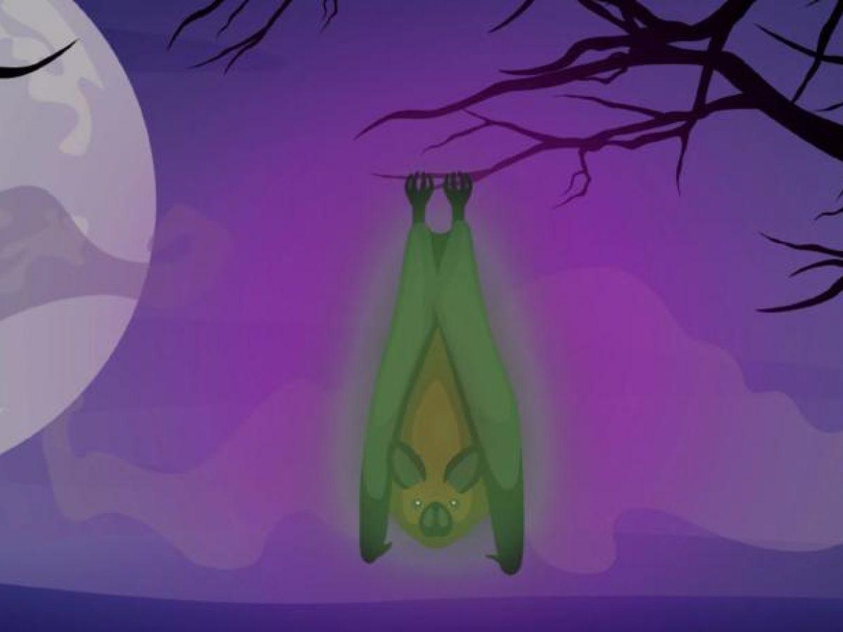 Chauves-souris deviennent vertes sous lumière UV Chauves-souris deviennent vertes sous lumière UV