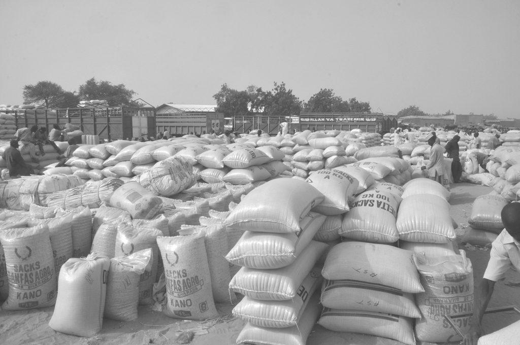 Prix Des Céréales: Le Mil Résiste Tandis Que Les Autres Baissent Prix Des Céréales: Le Mil Résiste Tandis Que Les Autres Baissent