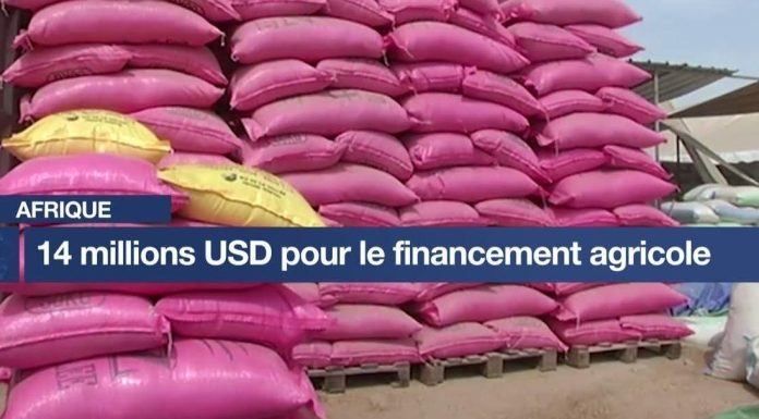 Afrique: 14 Millions USD Pour Financer L’Agriculture Afrique: 14 Millions USD Pour Financer L'Agriculture