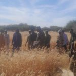 Mission Conjointe Banque Mondiale et Gouvernement sur PISEN Mission Conjointe Banque Mondiale et Gouvernement sur PISEN