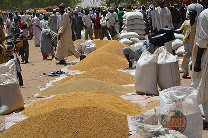Prix Des Céréales Au Niger Stabilité Et Détente Structurelle Prix Des Céréales Au Niger Stabilité Et Détente Structurelle