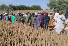 Pré-évaluation de la Campagne Agro-Sylvo-Pastorale 2025 Pré-évaluation de la Campagne Agro-Sylvo-Pastorale 2025