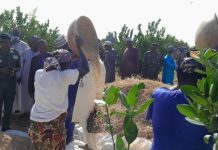 Pré-évaluation de la Campagne Agro-Sylvo-Pastorale à Maradi Pré-évaluation de la Campagne Agro-Sylvo-Pastorale à Maradi