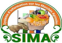 Niamey: Prix du Poivron et de la Tomate en Hausse Niamey: Prix du Poivron et de la Tomate en Hausse