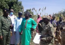 Bilan Positif de la Campagne Agricole 2025 à Maradi Bilan Positif de la Campagne Agricole 2025 à Maradi