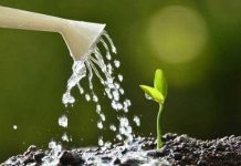 Financement Philanthropique des Systèmes Alimentaires Africains Financement Philanthropique des Systèmes Alimentaires Africains