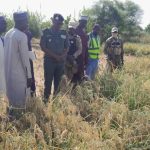 Mission de Pré Évaluation Agricole 2025 à Maradi Mission de Pré Évaluation Agricole 2025 à Maradi