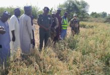 Mission de Pré Évaluation Agricole 2025 à Maradi Mission de Pré Évaluation Agricole 2025 à Maradi