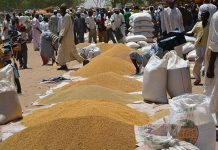 Stabilité Des Prix Des Produits Céréaliers Sur Marchés Stabilité Des Prix Des Produits Céréaliers Sur Marchés