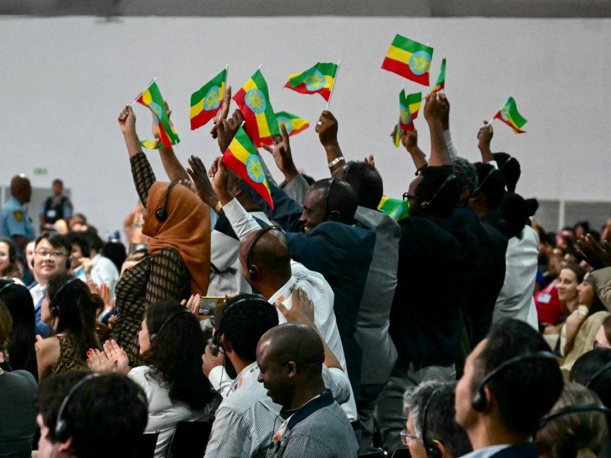 Échecs et Succès de la COP30 en Résumé Échecs et Succès de la COP30 en Résumé