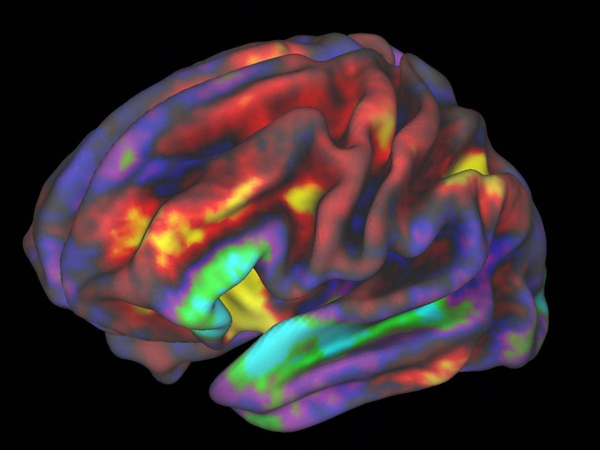 Transcription de la Pensée Visuelle avec l'IA Transcription de la Pensée Visuelle avec l'IA