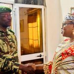 Visite de la Représentante ONU Femmes à Diffa Visite de la Représentante ONU Femmes à Diffa