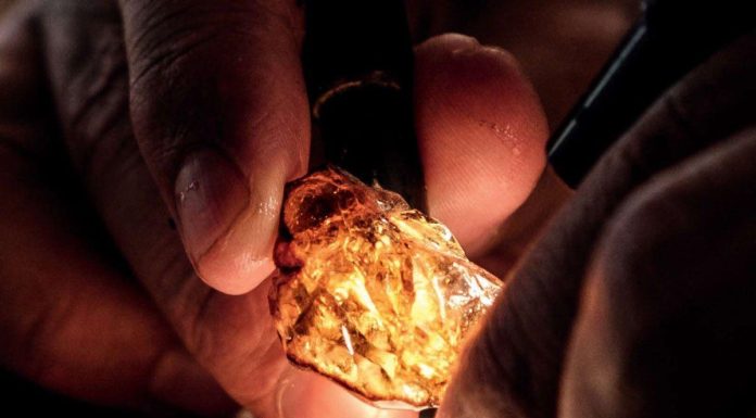 Révélations Sur L’Ambre Libanais Révélations Sur L'Ambre Libanais