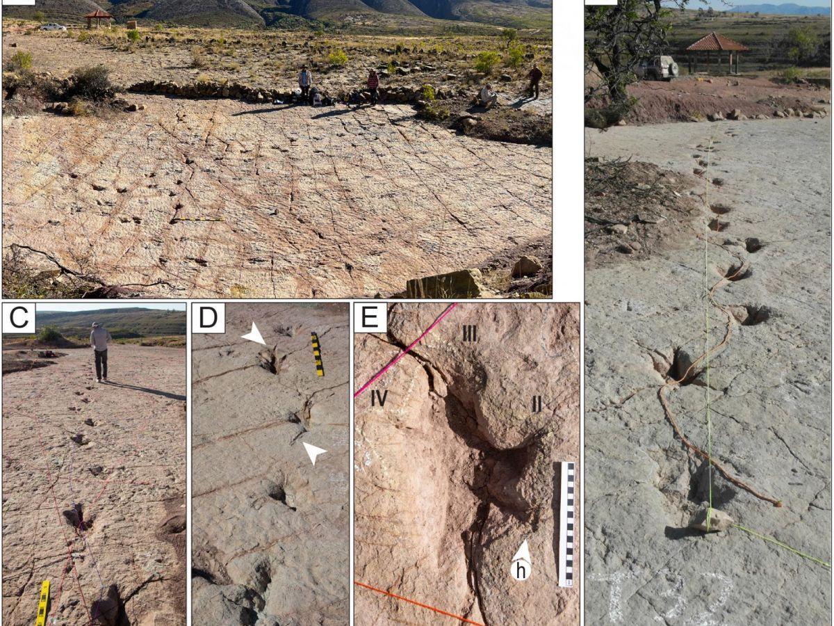 Un Site Bolivien Avec 16 000 Traces De Dinosaures Un Site Bolivien Avec 16 000 Traces De Dinosaures