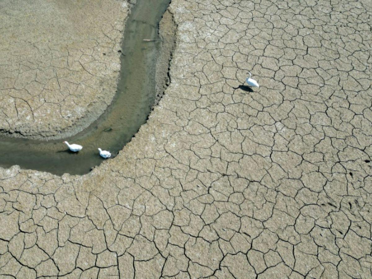 2025 Pourrait Être Une Année Très Chaude 2025 Pourrait Être Une Année Très Chaude