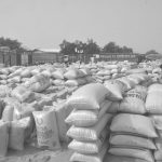 Prix des Céréales au Niger: Stabilité Générale Observée Prix des Céréales au Niger: Stabilité Générale Observée