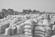 Prix des Céréales au Niger: Stabilité Générale Observée Prix des Céréales au Niger: Stabilité Générale Observée