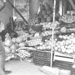 Prix Des Fruits Et Légumes Au Niger En Hausse Prix Des Fruits Et Légumes Au Niger En Hausse