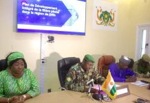 Diffa Adopte un Plan Intégré pour la Filière Poisson Diffa Adopte un Plan Intégré pour la Filière Poisson