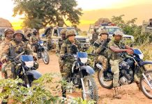 Sécurisation Du Territoire: 205 Terroristes Neutralisés Sécurisation Du Territoire: 205 Terroristes Neutralisés