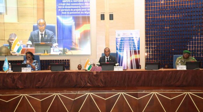 Promotion De L’Investissement Au Niger Par L’Etat Promotion De L'Investissement Au Niger Par L'Etat