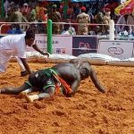 Diffa Batue 9 à 1 par Dosso au Sabre National 2025 Diffa Batue 9 à 1 par Dosso au Sabre National 2025