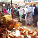 SENAVOL 2025: Femmes et Jeunes À L’Honneur SENAVOL 2025: Femmes et Jeunes À L'Honneur