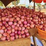 Oignon Violet de Galmi: un Délice ÉMotionnel Oignon Violet de Galmi: un Délice ÉMotionnel