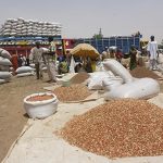 Stabilité des Prix des Céréales Locales et Repli Importées Stabilité des Prix des Céréales Locales et Repli Importées