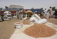 Stabilité des Prix des Céréales Locales et Repli Importées Stabilité des Prix des Céréales Locales et Repli Importées