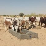 Réception de Deux Adductions d’Eau à N’Guigmi Réception de Deux Adductions d'Eau à N'Guigmi