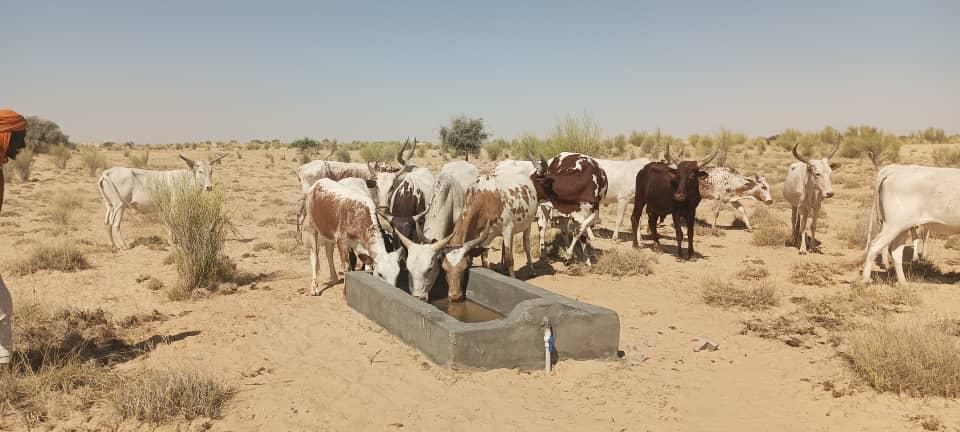 Réception de Deux Adductions d'Eau à N'Guigmi Réception de Deux Adductions d'Eau à N'Guigmi