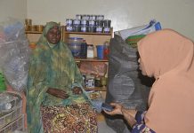 Coopérative Son Kowa: Autonomisation des Femmes Coopérative Son Kowa: Autonomisation des Femmes