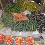 Baisse des prix sur les marchés horticoles saisonniers Baisse des prix sur les marchés horticoles saisonniers