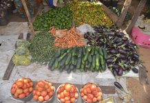 Baisse des prix sur les marchés horticoles saisonniers Baisse des prix sur les marchés horticoles saisonniers