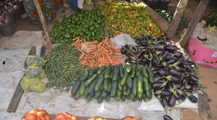 Baisse des prix sur les marchés horticoles saisonniers Baisse des prix sur les marchés horticoles saisonniers