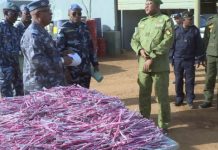 Opération Tsaron Kassa À Tahoua Saisies Importantes Opération Tsaron Kassa À Tahoua Saisies Importantes