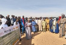 Innovation à l’Université de Diffa pour la Souveraineté Alimentaire Innovation à l'Université de Diffa pour la Souveraineté Alimentaire