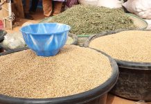 Foire Des Maraîchers D’Agadez: Blé Comme Symbole Économique Foire Des Maraîchers D’Agadez: Blé Comme Symbole Économique