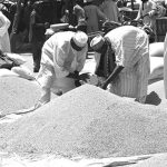 Marché Céréalier Au Niger: Analyse Des Prix Marché Céréalier Au Niger: Analyse Des Prix