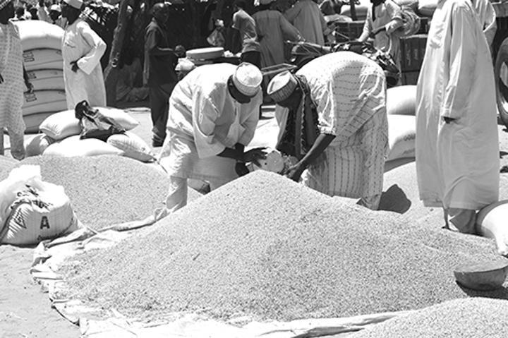 Marché Céréalier Au Niger: Analyse Des Prix Marché Céréalier Au Niger: Analyse Des Prix