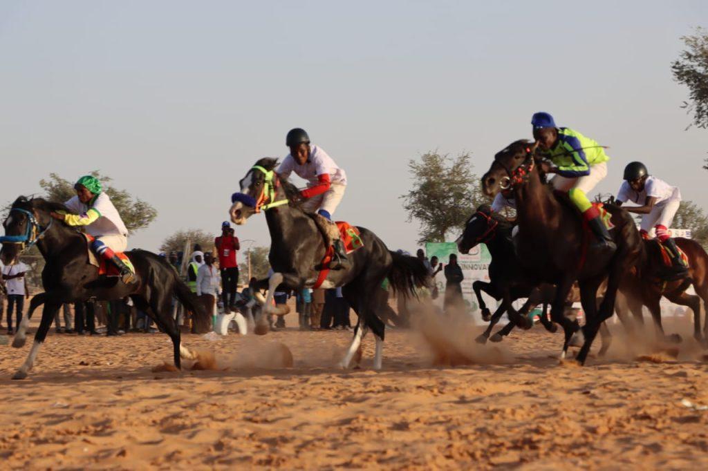 Courses Hippiques au Festival Dokin Iska Dan Hilingué Courses Hippiques au Festival Dokin Iska Dan Hilingué