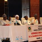 Assemblée Consulaire Nationale ÉLective Bilan 2025 Assemblée Consulaire Nationale ÉLective Bilan 2025